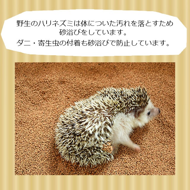 はりねずみんみん共和国　くるみサンド　800g　ハリネズミの砂浴び用砂　オリジナル床材