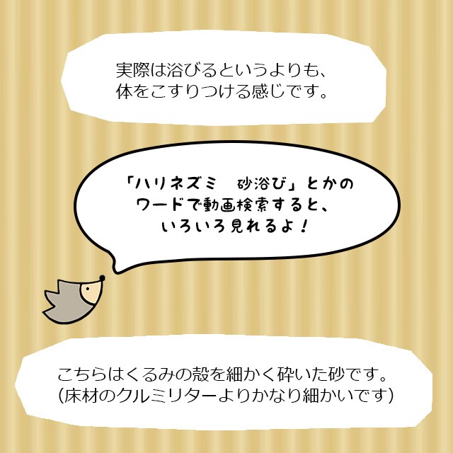 はりねずみんみん共和国 くるみサンド 800g ハリネズミの砂浴び用砂