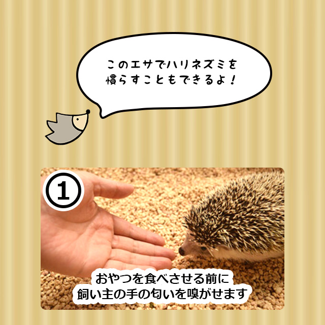 はりねずみんみん共和国 ゆうパケットOK ソルジャーグラブ 15g はりねずみんみん共和国 ゆうパケットOK ソルジャーグラブ 15g
