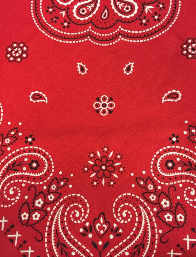 b-bandana6