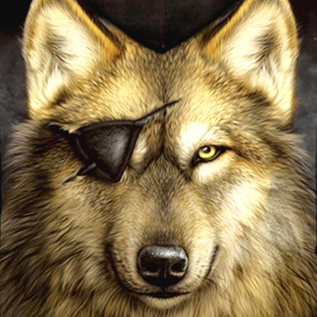 【送料無料!】アイパッチウルフプリントフーディープルオーバースウェットパーカー! 狼 オオカミ 犬 眼帯 メンズ バイクに! アメカジ フード  大きいサイズ