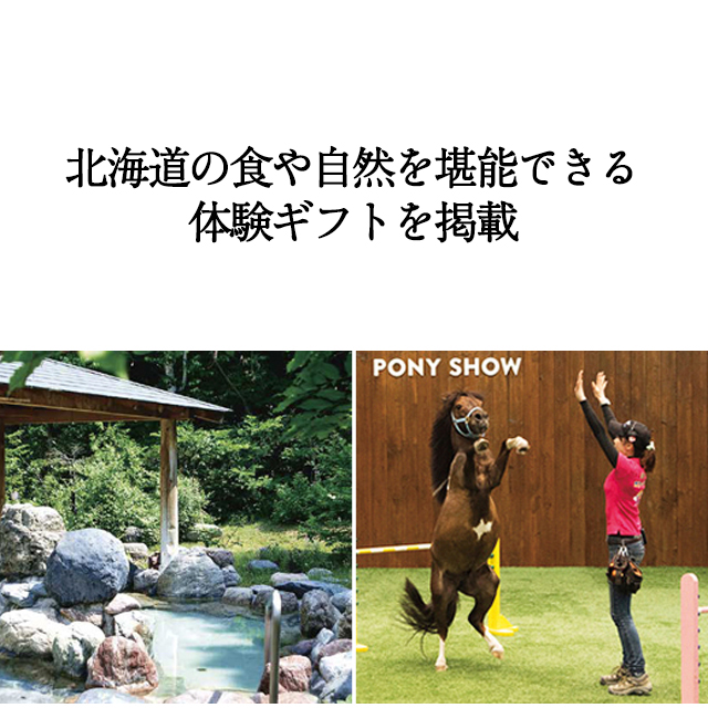 北海道 カタログギフト グルメ ハーモニック ご当地 内祝い お返し お祝い ギフトカタログ 人気 9000円 北海道のおくりもの HDO-P | ハーモニック | 12