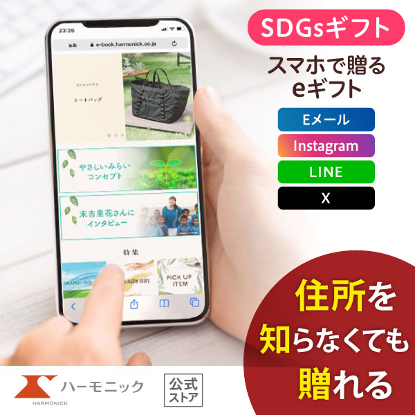 ϡ˥å ޥۤ£ SDGs ե ˤ ˤ 䤵ߤ餤 e-catalog ꥳ 15900ߥ 륮ե
