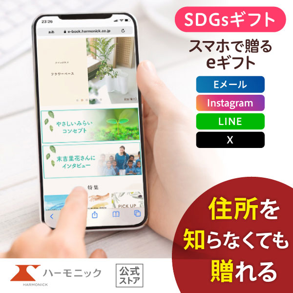 ϡ˥å ޥۤ£ SDGs ե ˤ ˤ 䤵ߤ餤 e-catalog ꥳ 20900ߥ 륮ե