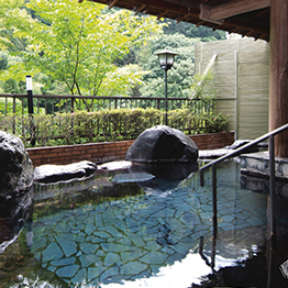 カタログギフト 温泉 旅行 ハーモニック公式 JTB お返し 内祝い お祝い 送料無料 お急ぎ便 3万円コース ありがとうプレミアム リボン付き JTO 旅行券 お食事券 | ハーモニック | 12