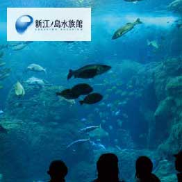 カタログギフト ハーモニック公式 出産内祝い 内祝い 引き出物 快気祝い 送料無料 ギフトカタログ 3900円コース HARMONICK e-book HAG | ハーモニック | 13