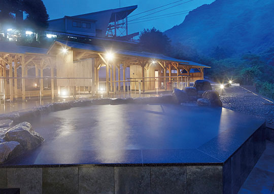 ハーモニック 公式 スマホで贈る カタログギフト ソーシャルギフト 内祝い お祝い 結婚 出産 引出物 快気 新築 HARMONICK e-catalog HAO 30900円コース 送料無料 | ハーモニック | 12