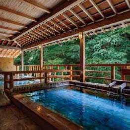 ハーモニック 公式 スマホで贈る カタログギフト ソーシャルギフト 内祝い お祝い 結婚 出産 引出物 快気 新築 HARMONICK e-catalog HAJ 50900円コース 送料無料 | ハーモニック | 17