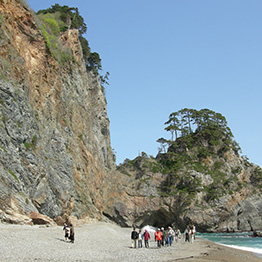 カタログギフト ハーモニック公式 健康 お祝い 内祝い お返し 送料無料 ギフトカタログ 人気 お得 10900円コース からだおもい KDK | ハーモニック | 07