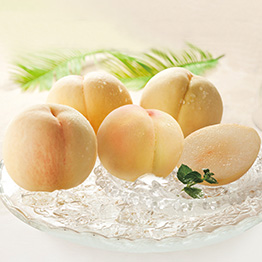 カタログギフト ハーモニック公式 お祝い 内祝い お返し 香典返し 送料無料 ギフトカタログ 10900円コース 日本の贈り物 江戸紫 えどむらさき | ハーモニック | 10