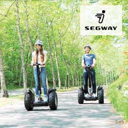 カタログギフト 香典返し 送料無料 ハーモニック公式 内祝い お返し ギフトカタログ 人気 お得 10900円コース 凛 りん こでまり | ハーモニック | 12