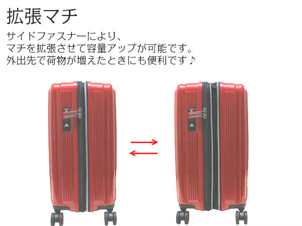 送料無料/プレゼント付♪ ジェニュインディッキーズ アイコンキャリーS 17-11 機内持ち込み可 37L 34 cm 2.8kg ブラック 