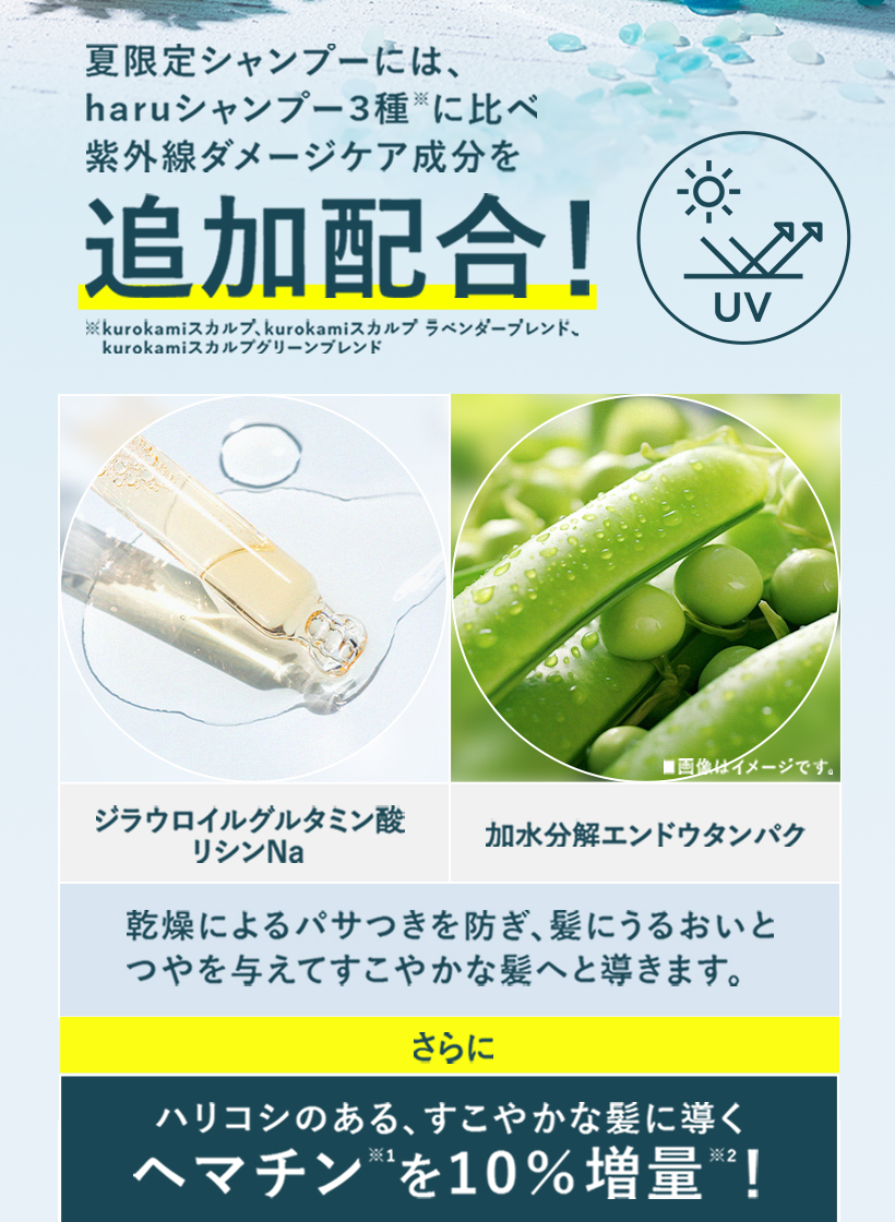haru（ハル） 【期間限定 再登場】【5,143円引】シャンプー haru ハル