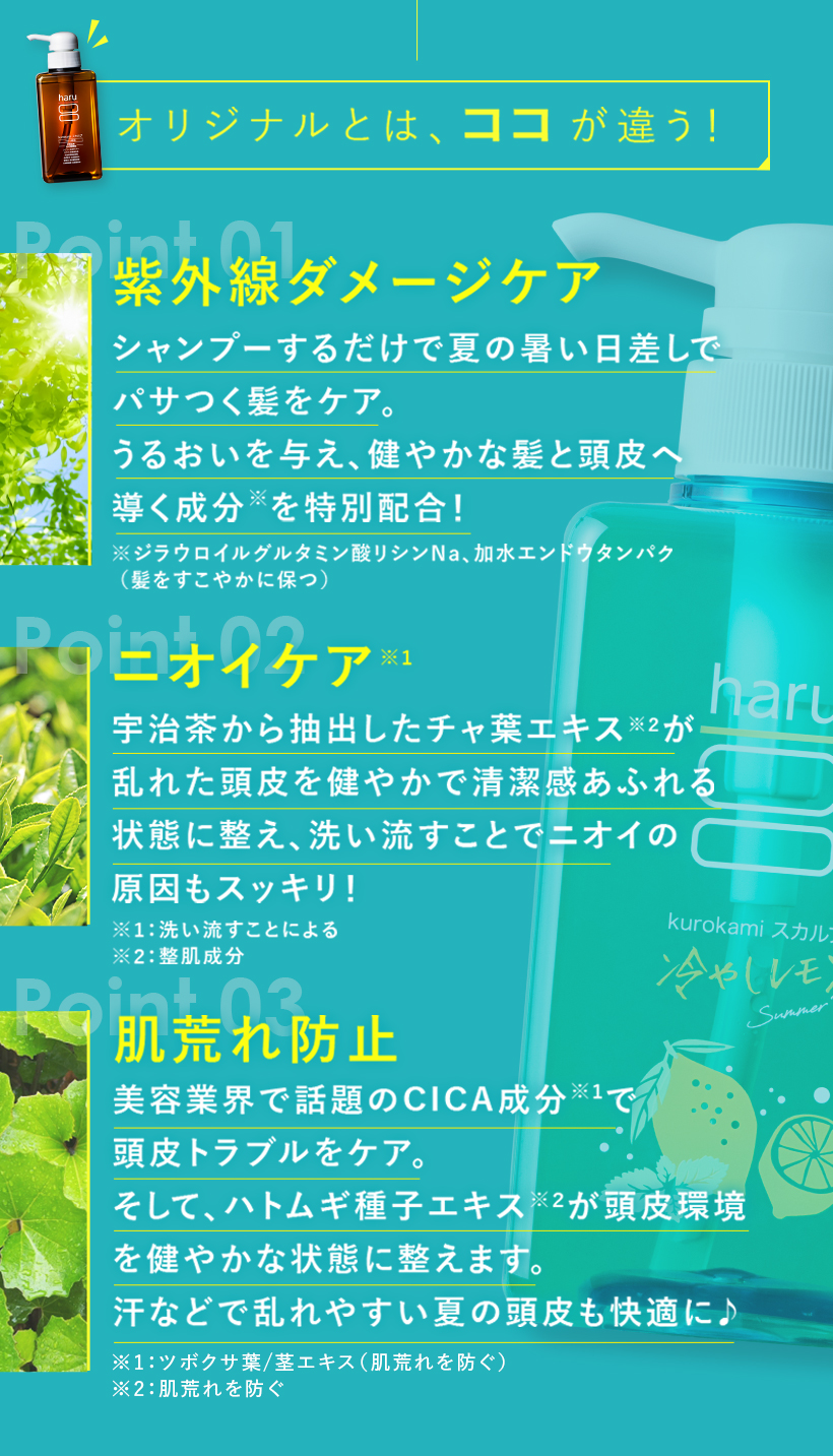 haru（ハル） 【期間限定 再登場】【5,143円引】シャンプー haru ハル