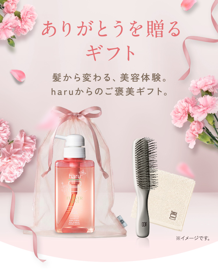 シャンプーブラシ（セット/単品：セット）のおすすめ人気商品一覧 通販