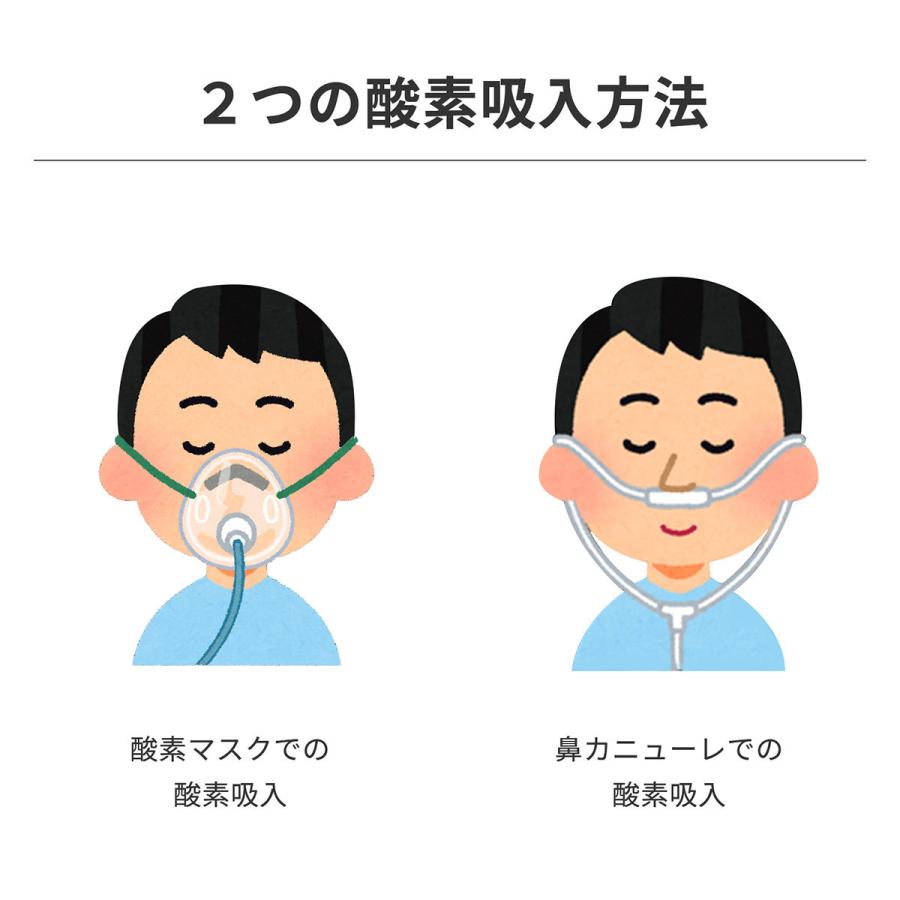 RABLISS 酸素発生器 酸素吸入器 家庭用 自宅用 静音設計 高濃度酸素