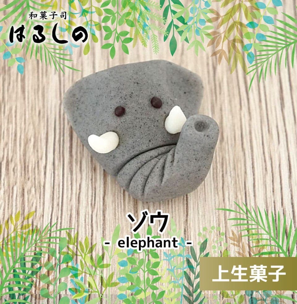 ゾウの上生菓子