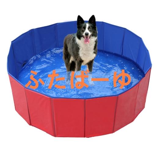 プール キッズ 子供 空気入れ不要 折りたたみ 小さめ 100cm 80cm 60cm 安い ビニールプール ワンタッチ ベランダ ボール 家庭用 折りたたみ式 子ども 23c26-0 |  | 02