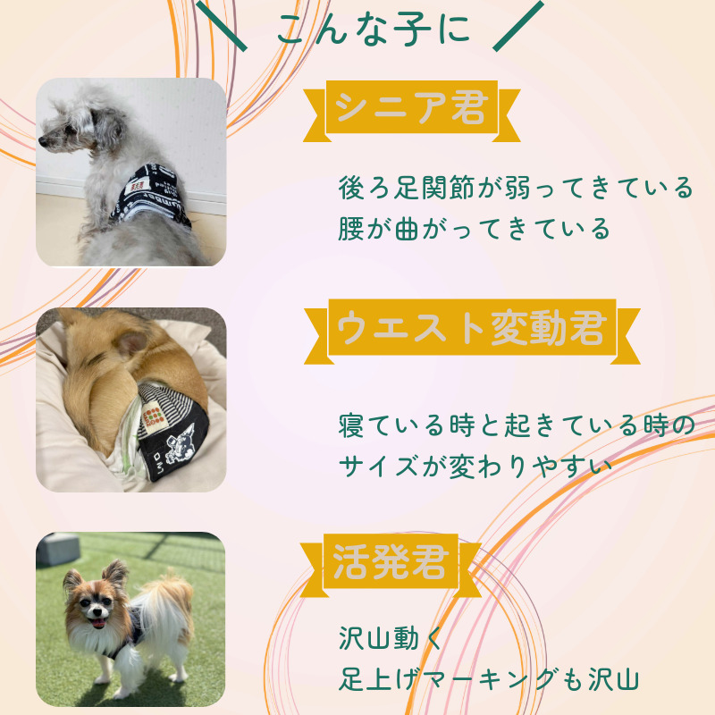 HARZth ハーズ マナーベルト オス ｘｓ 犬ベルト マーキング防止 ゴム入り 簡単着脱 小型犬  中型犬 介護犬 介護ベルト 22〜26 マナーベルト犬｜harz-th｜07