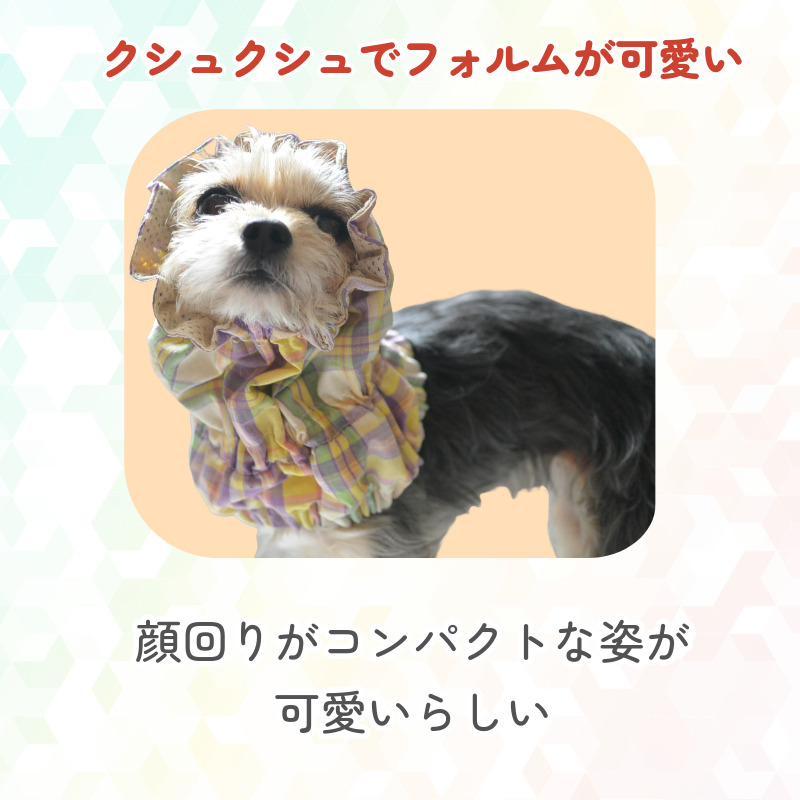 犬 クールスヌード S 2WAY 濡らしてひんやり 接触冷感 耳カバー よだれ
