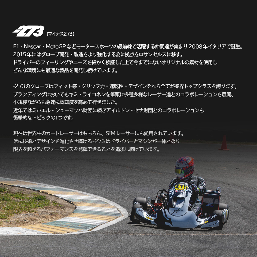 長谷川工業 【 カートグローブ Sサイズ 】 DRAPOJI ドラポジ 長谷川工業 【 カートグローブ Sサイズ 】 DRAPOJI ドラポジ