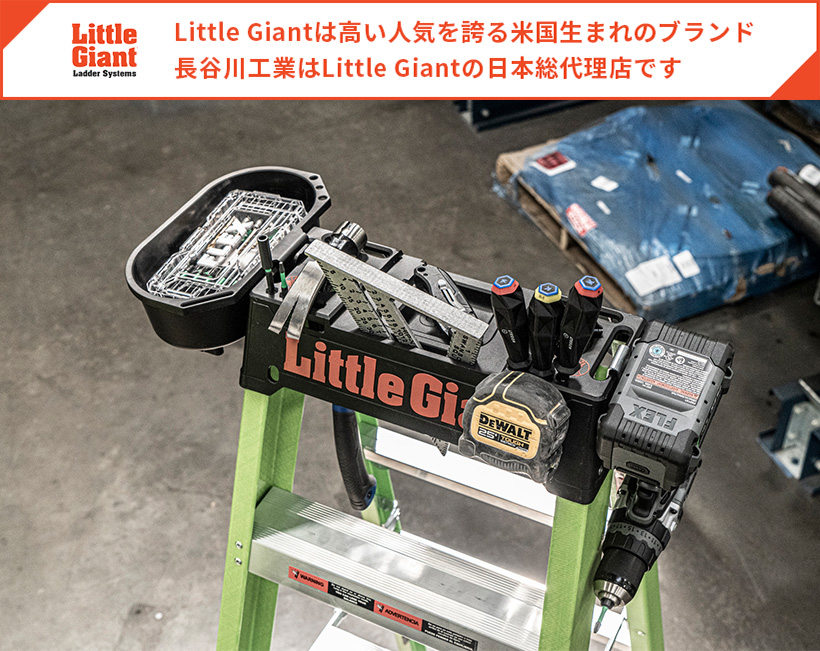 【 LG-15044 】ルートボックス リトルジャイアント littlegiant 長谷川工業 hasegawa｜hasegawa-select｜02