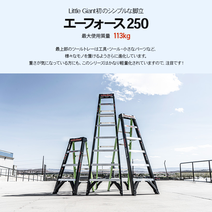 【 LG-15766 】長谷川工業 ハセガワ hasegawa リトルジャイアント littlegiant エーフォース250 6段 脚立 現場作業｜hasegawa-select｜03