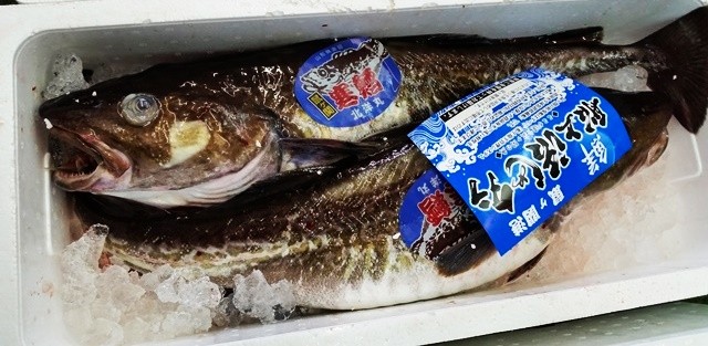 山形県産 天然 真鱈子 生たらこ 1kg 1 3ｋｇ生冷蔵 鱈子 寒鱈 たら タラ 寒ダラ 鍋 海鮮 Namatarako 長谷川鮮魚 通販 Yahoo ショッピング