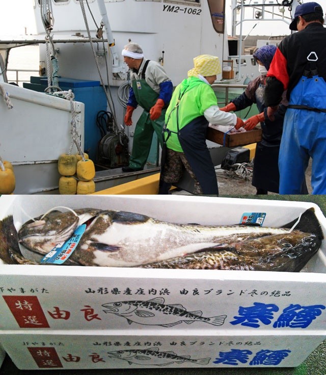 山形県産 天然 真鱈子 生たらこ 1kg 1 3ｋｇ生冷蔵 鱈子 寒鱈 たら タラ 寒ダラ 鍋 海鮮 Namatarako 長谷川鮮魚 通販 Yahoo ショッピング