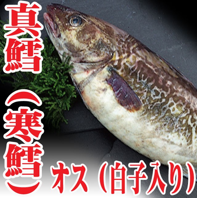 山形県産 真鱈 寒鱈 オス 白子 4ｋｇ1尾 (切身8〜10人前） マダラ 真ダラ 寒ダラ 鱈 1月中旬より順次発送 : taraosu41 :  長谷川鮮魚 - 通販 - Yahoo!ショッピング