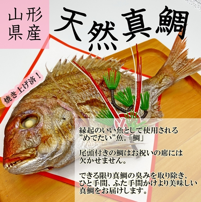 お食い初め 鯛 ハマグリ 歯固め石 セット 300g 祝鯛 敷き紙 鯛飾り 祝い箸 焼き鯛 料理 はまぐり 天然 真鯛  :iwaidai300isihamaguri:長谷川鮮魚 - 通販 - Yahoo!ショッピング