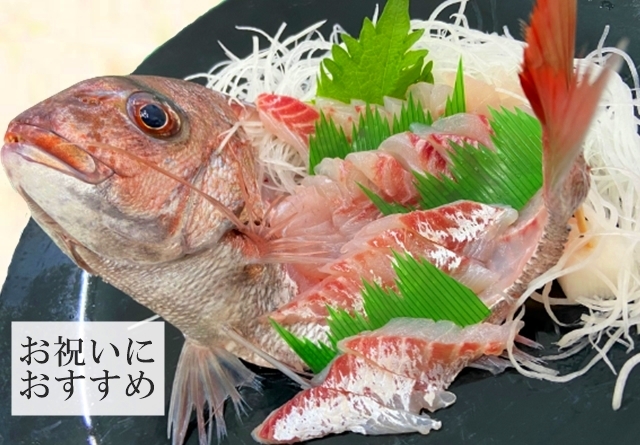 鯛 刺身 天然真鯛 姿造り 600g〜800ｇ 山形県産 生食用 冷蔵 お祝い 贈答 :3:長谷川鮮魚 通販 