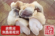 選味素材 ちぢみ天