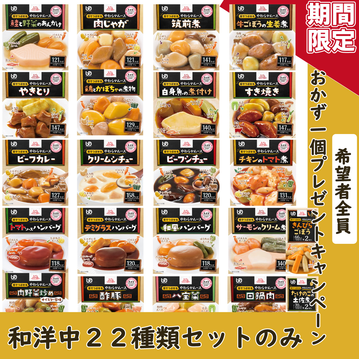 1種増量】介護食 ムース食 エバースマイル 和食 洋食 中華 22種セット