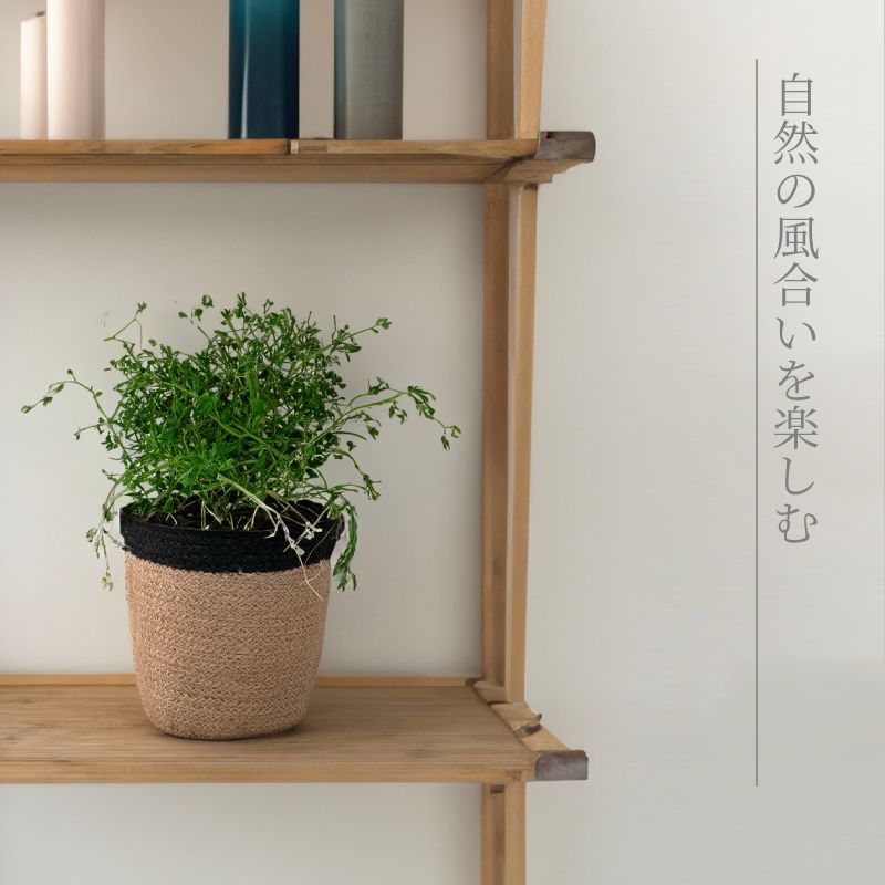 鉢カバージュートおしゃれ棚に飾る