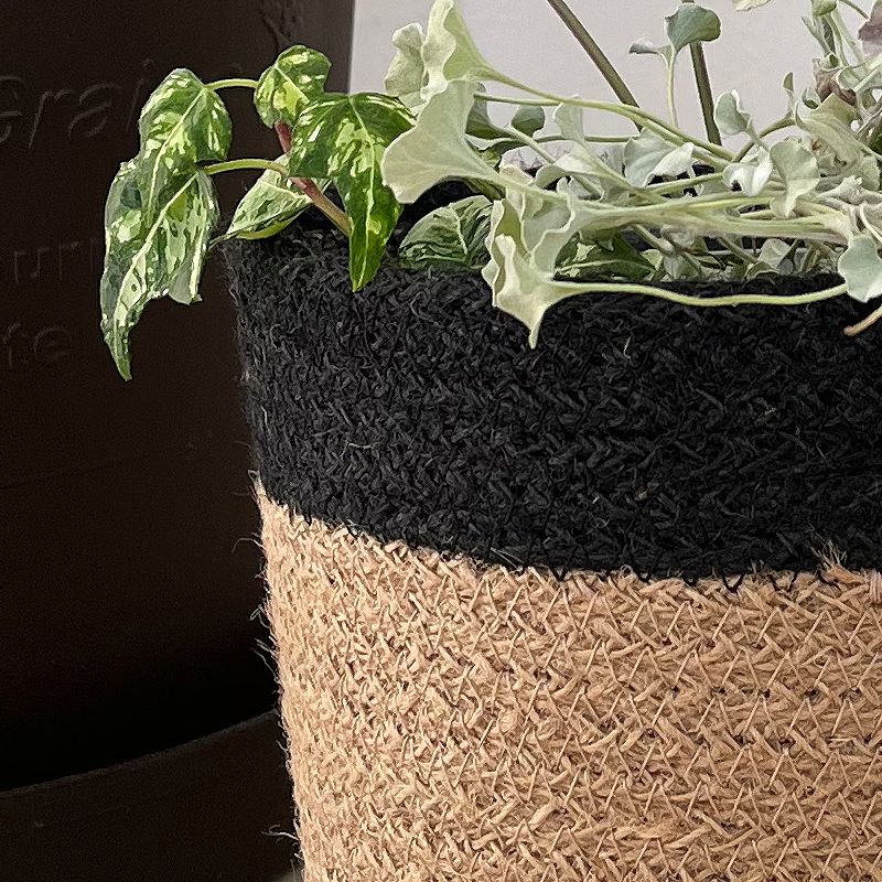 ジュート鉢カバーLサイズ使用例