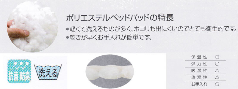 フランスベッド（FRANCEBED） 洗える グッドスリーププラス バイオ