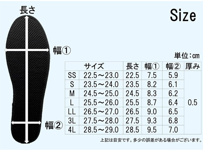 NEW 2足組 除湿 消臭 インソール シリカコンフォート シリテック