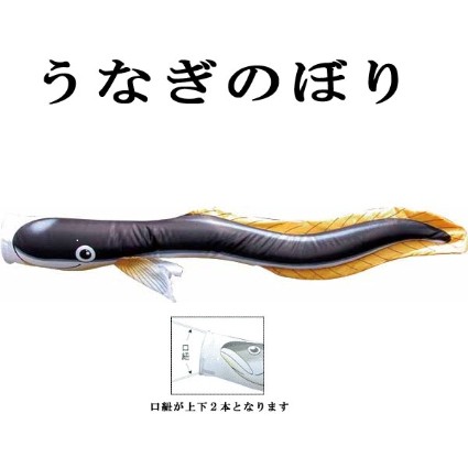 ちょっと変わった鯉のぼり 【魚図鑑シリーズ 鰻】 うなぎのぼり ウナギ