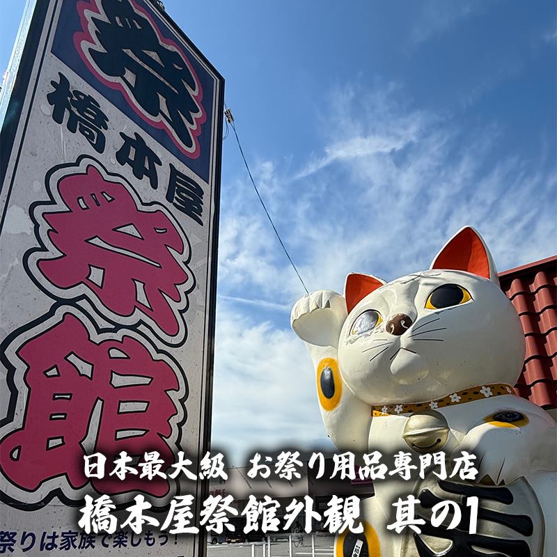 鯉のぼり用ポール【鯉幟】ダイヤポール10号(5m鯉のぼりセット用