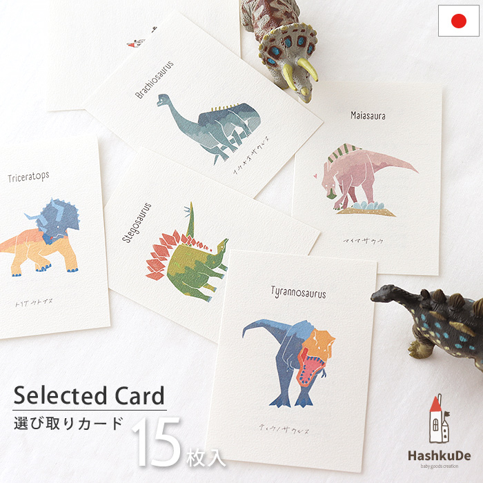 選び取りカード 【恐竜】 15枚入り A7サイズ 誕生日 ギフト 出産祝い｜hashkude