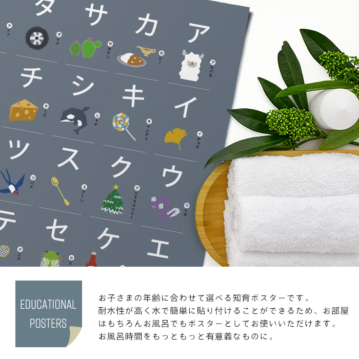 お風呂ポスター 知育 A3 防水 日本製 水で貼ってはがせる ひらがな あいうえお カタカナ アルファベット 九九表 日本地図 都道府県 幼児 子供 学習教材 関連画像1