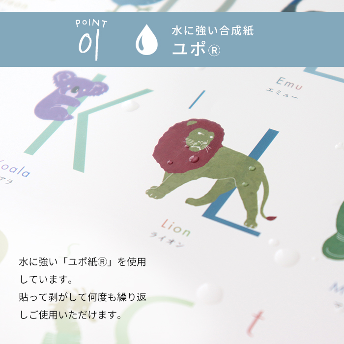 お風呂ポスター 知育 A3 防水 日本製 水で貼ってはがせる ひらがな あいうえお カタカナ アルファベット 九九表 日本地図 都道府県 幼児 子供 学習教材 関連画像2