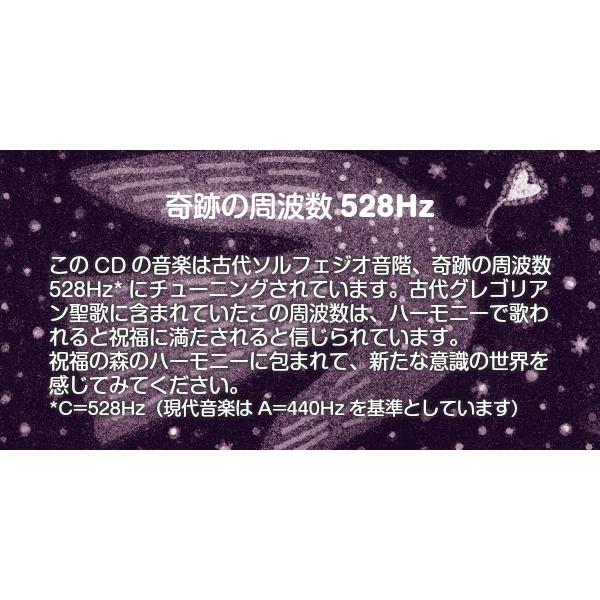528hz CD グレース GRACE / 知浦伸司 胎教 ヒーリング ミュージック 店内BGM使用可 メール便送料無料 試聴OK｜hasuneko｜03