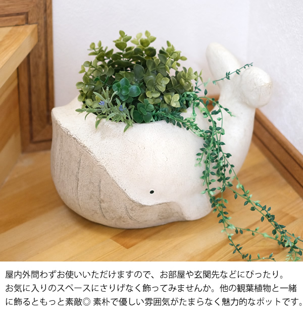 CN29 アニマルポットクジラ 25 L くじら 鉢 植木鉢 鉢カバー