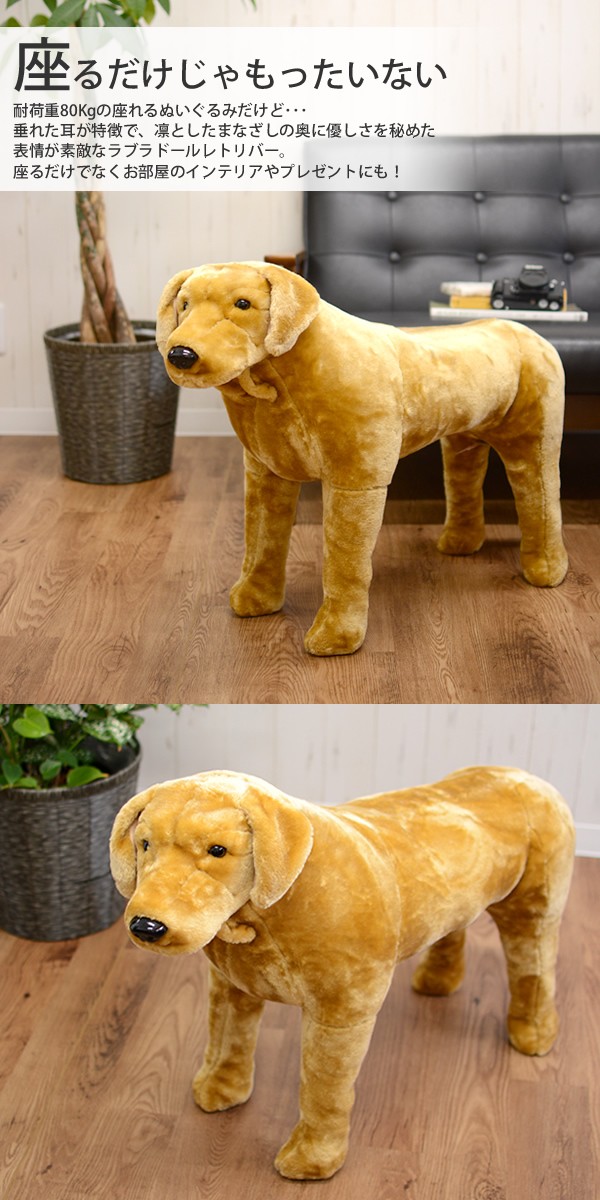 ラッピング不可 送料無料 ラブラドールレトリバー ドッグ 犬 座れる