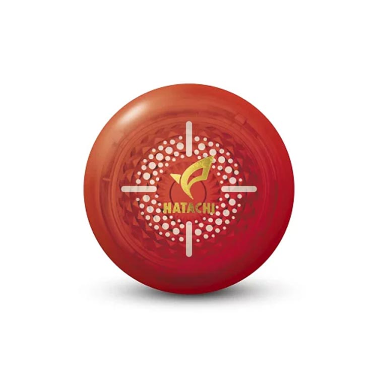 HATACHI（ハタチ） グランドゴルフ グラウンドゴルフ ボール グランド
