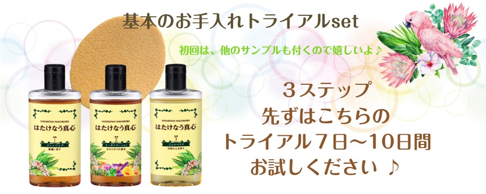 お試しサイズ4点 各50ml トライアルセット スキンケア化粧品 初回サンプル付きトラベル アミノ酸 普通肌 敏感肌 マツエク 洗顔 保湿  夜ケアメンズ 洗顔