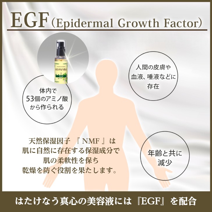 EGF 美容液 60ml  保湿  乾燥によるくすみ対策 美容液  ヒトオリゴペプチド-1 顔ダニ  エイジングケア化粧品  スキンケア 紫外線ケア 保湿美容液 ビタミンC｜hatakenaumagokoro-2｜03