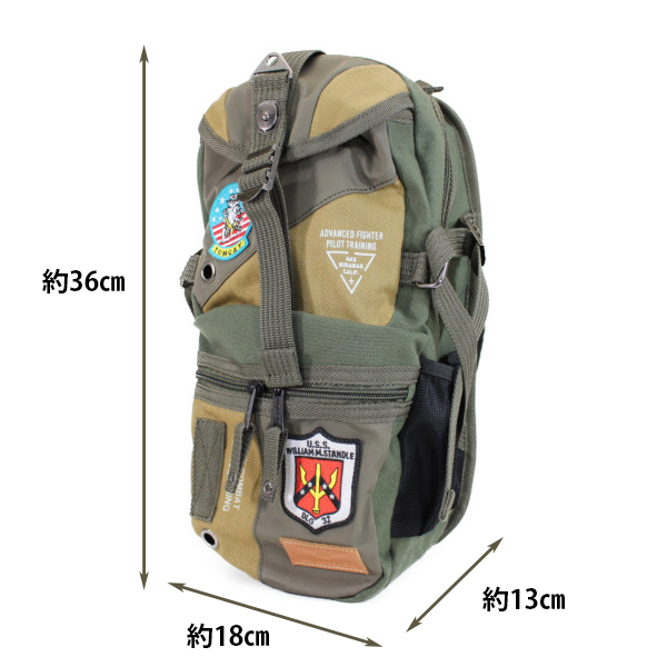 AVIREX 送料無料 2023限定モデル EAGLE SERIES TOP GUN ボディ